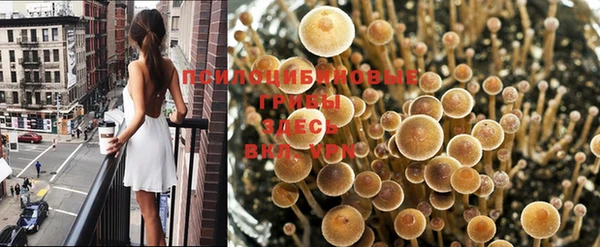 прущая мука Волоколамск