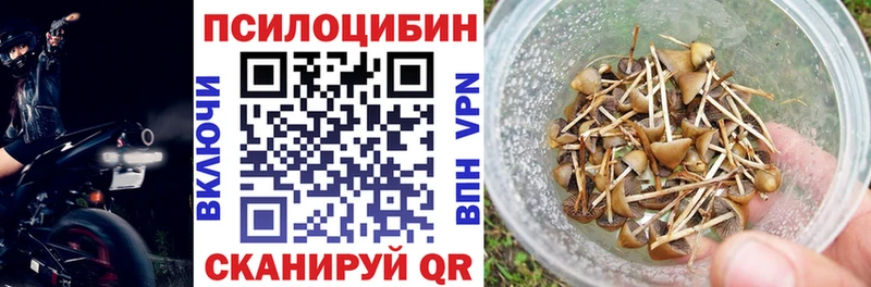 Псилоцибиновые грибы Cubensis ОМГ ОМГ рабочий сайт Химки